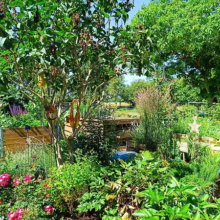 Landgasthof Zum Rappen 3* クレーグリンゲン