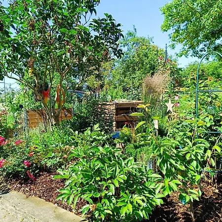 Landgasthof Zum Rappen イン 3*