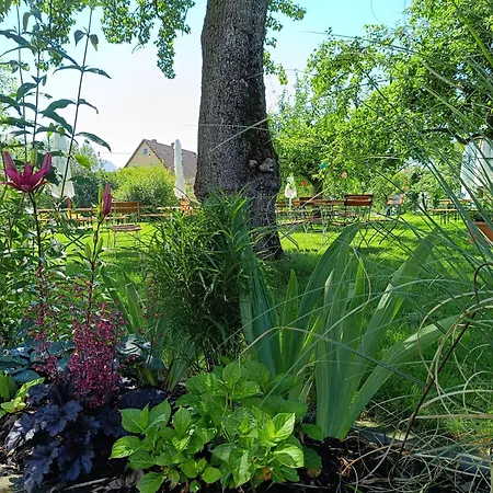 Landgasthof Zum Rappen イン クレーグリンゲン